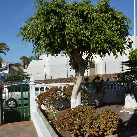 Lava Nomad Puerto del Carmen (Lanzarote)