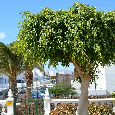 Appartamento Lava Nomad Puerto del Carmen (Lanzarote)