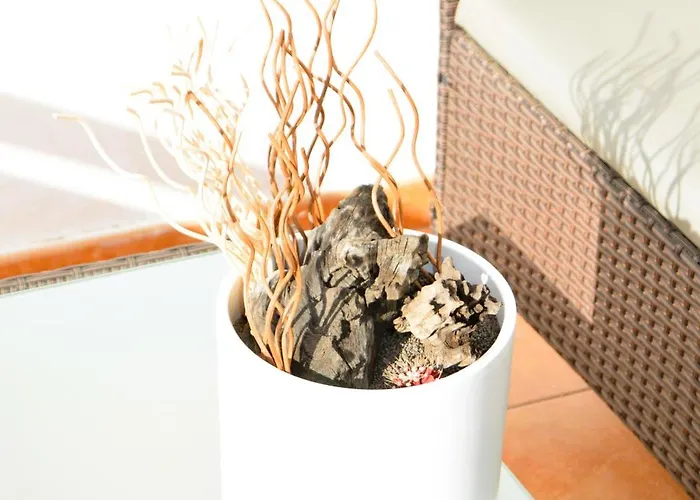 Lava Nomad 푸에르토 델 카르멘