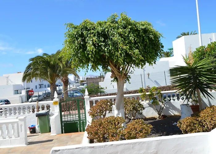 아파트 Lava Nomad *