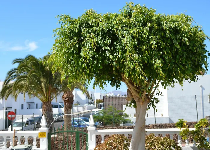 Apartament Lava Nomad Puerto del Carmen (Lanzarote)